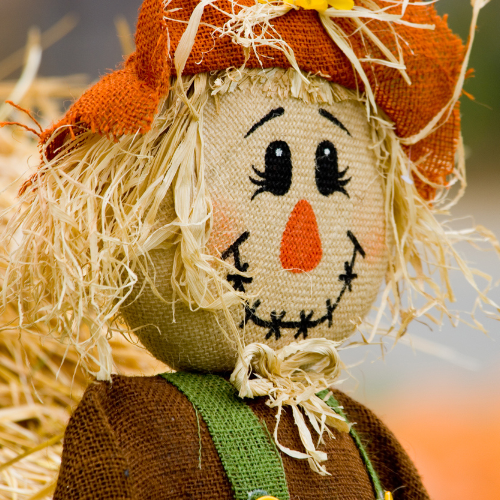 SCARECROW CONTEST!!! SCARECROW CONTEST ad